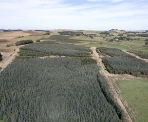 West Glenouther & Whitelee, Stewarton picture 3