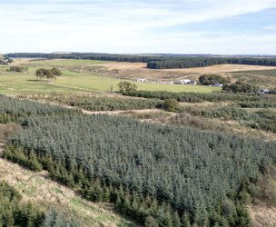 West Glenouther & Whitelee, Stewarton picture 4
