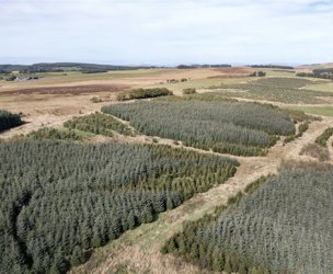 West Glenouther & Whitelee, Stewarton picture 5