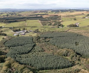 West Glenouther & Whitelee, Stewarton picture 1