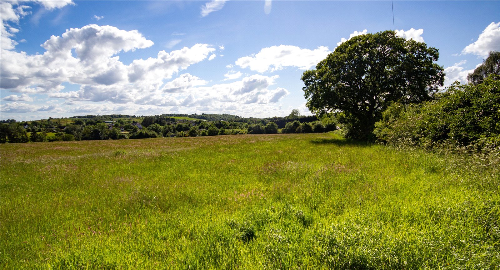 Land for Sale Fife Farms & Estates For Sale Fife Bidwells