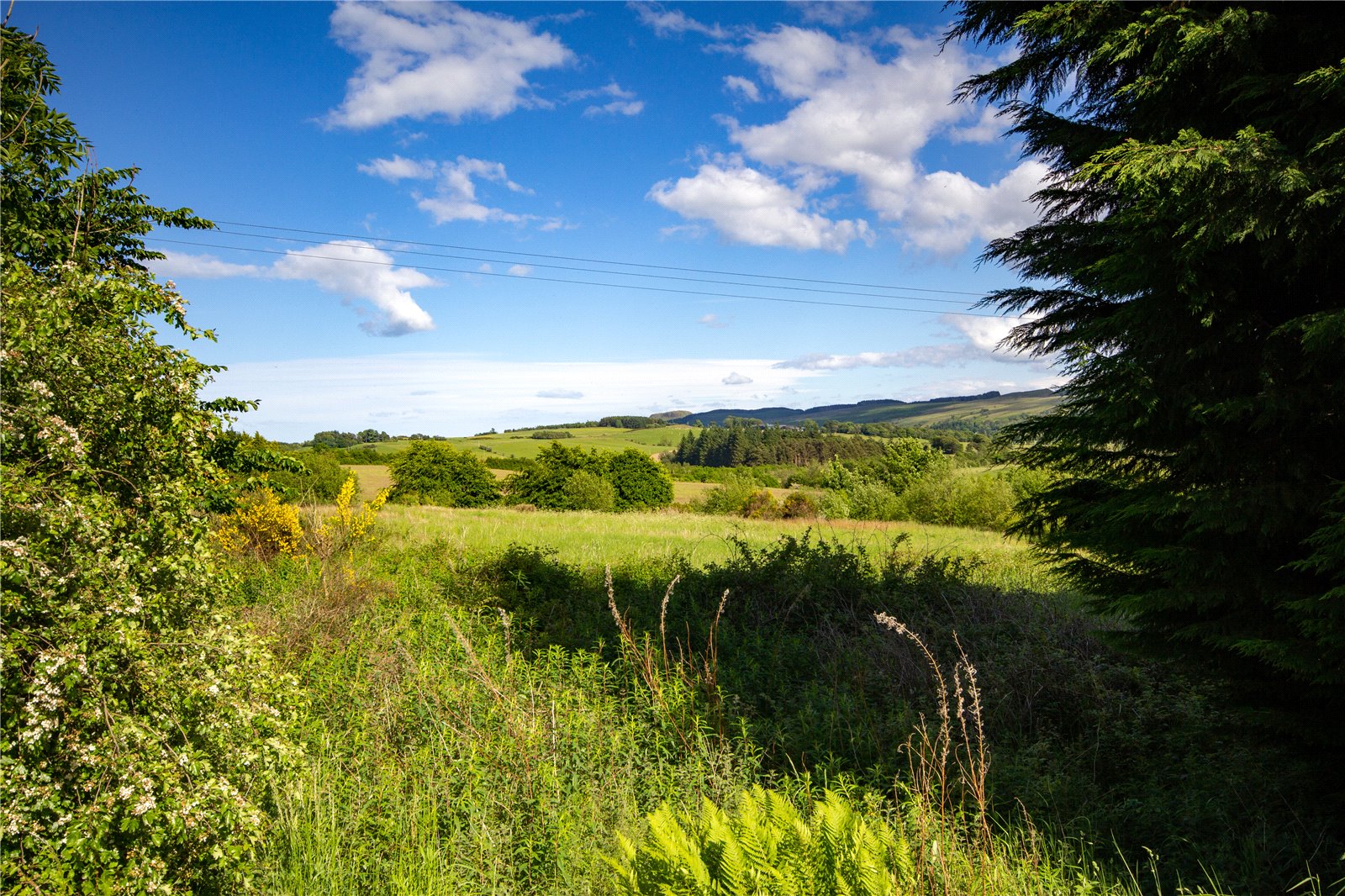 15 Acres Land At Powmill, Rumbling Bridge picture 4