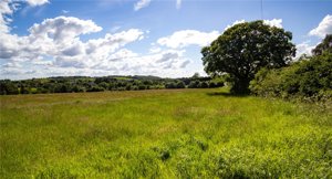 Kinross, KY13 0QP picture 2