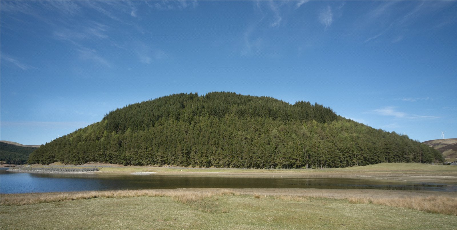Picture No. 19.jpg