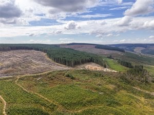 Northumberland, NE19 1TZ picture 2