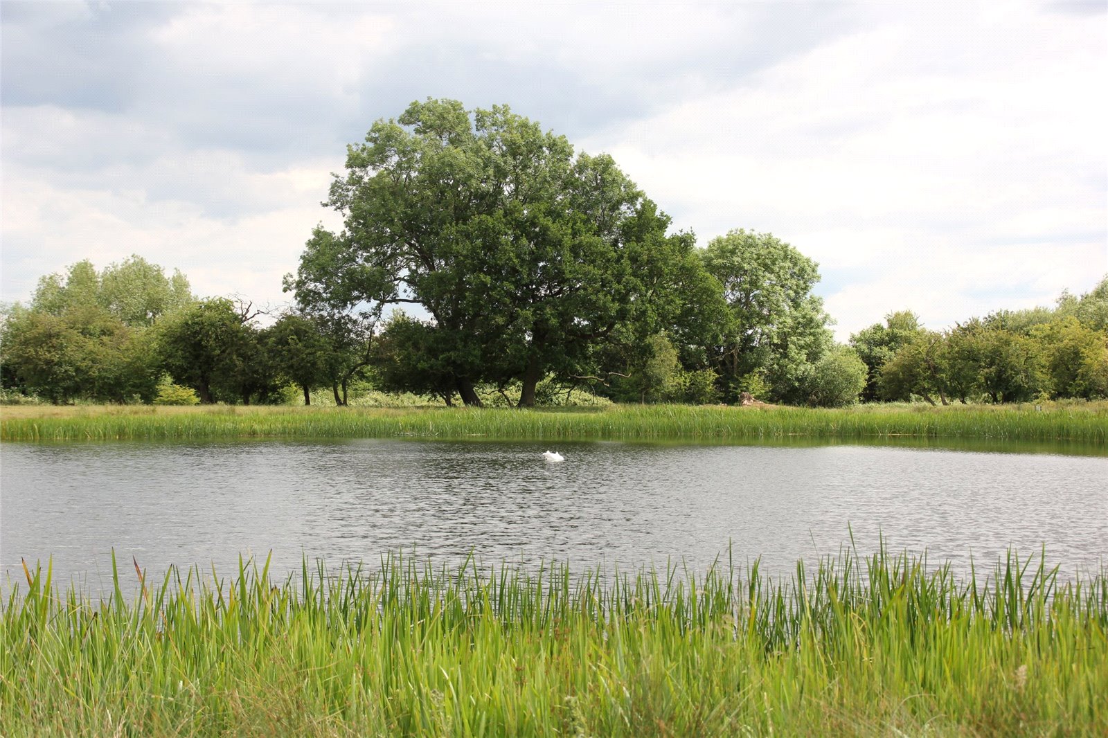 Land in Cambridgeshire Rural Property & Farms For Sale Cambridgeshire