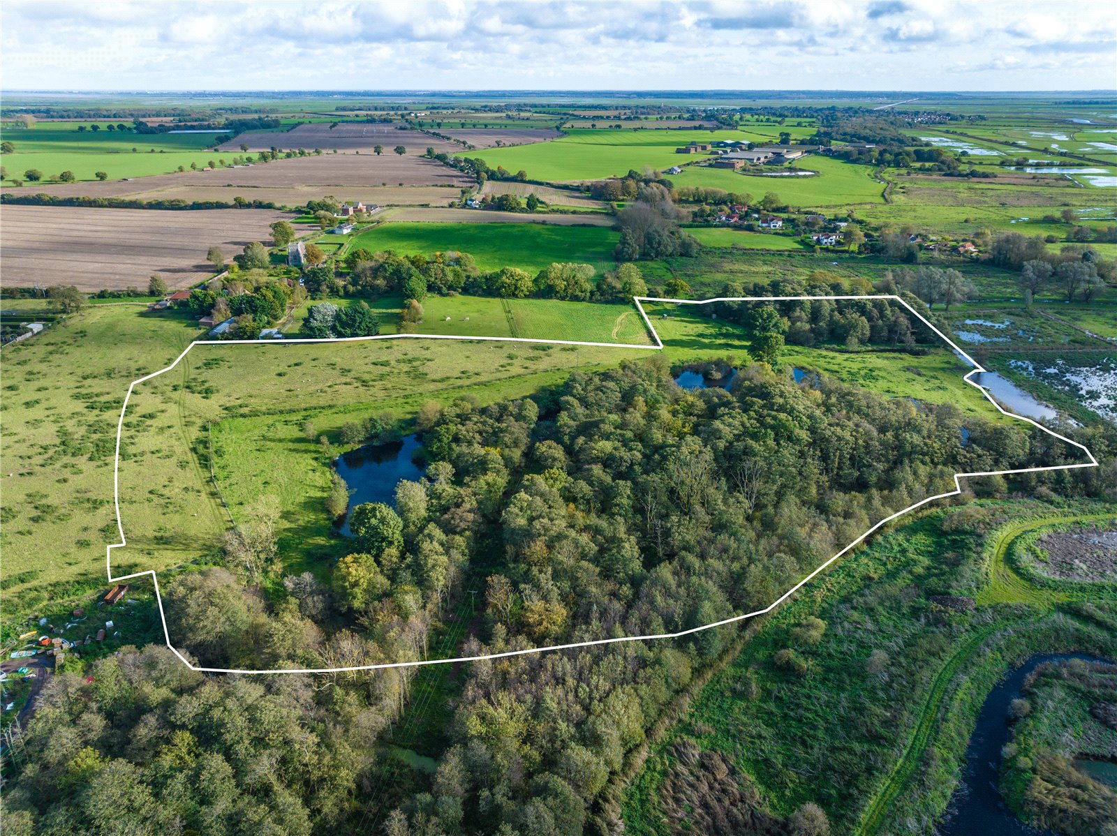 Cantley View Farm, Limpenhoe picture 2