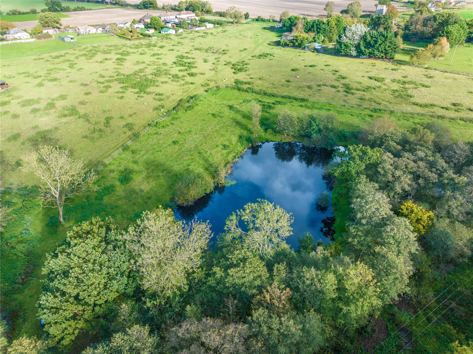 Cantley View Farm, Limpenhoe picture 5