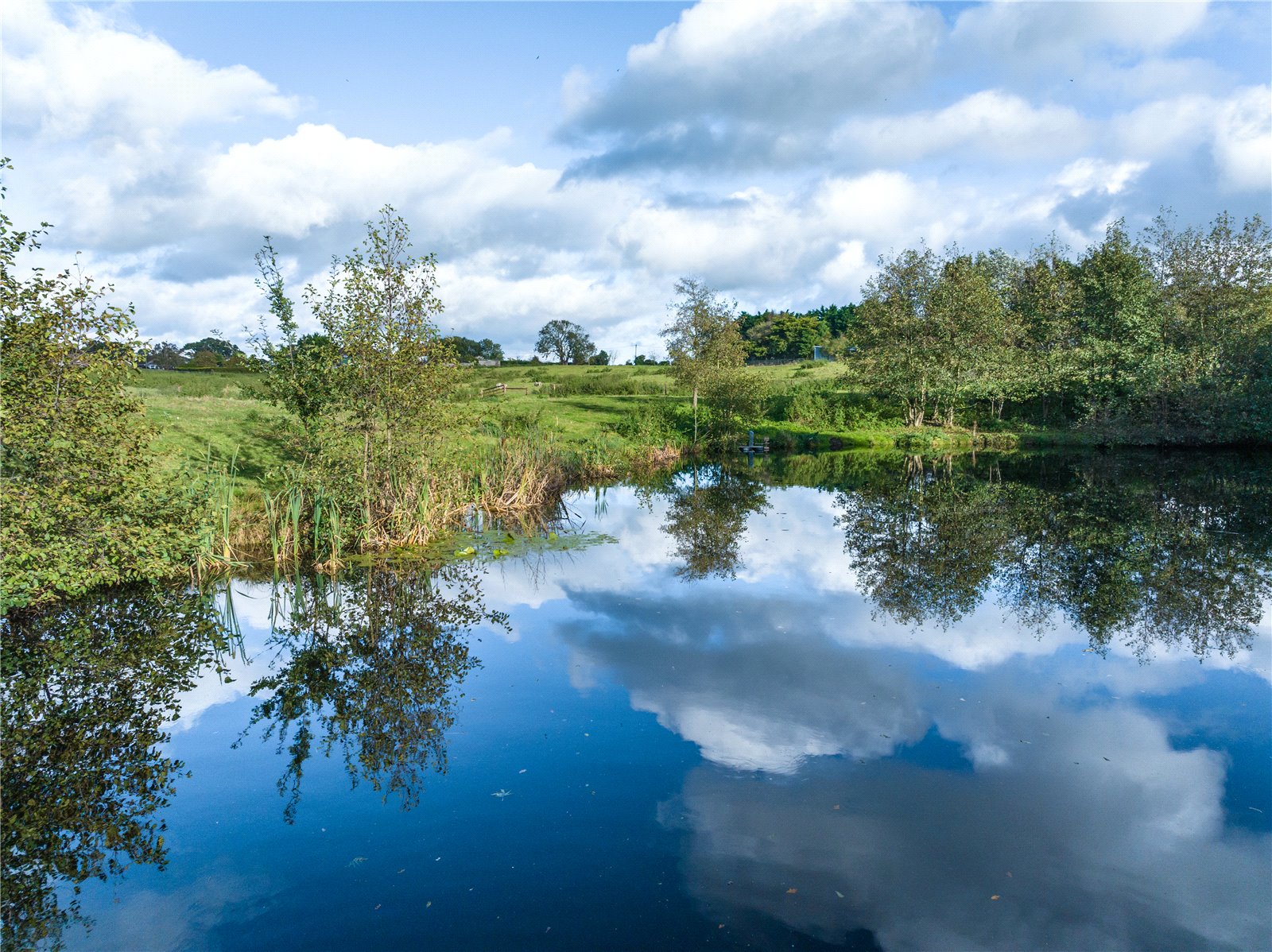 Cantley View Farm, Limpenhoe picture 3