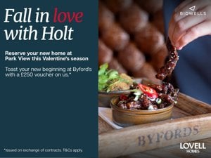 Holt, NR25 6EW picture 2