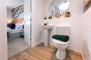 Norwich, NR4 7WT picture 5