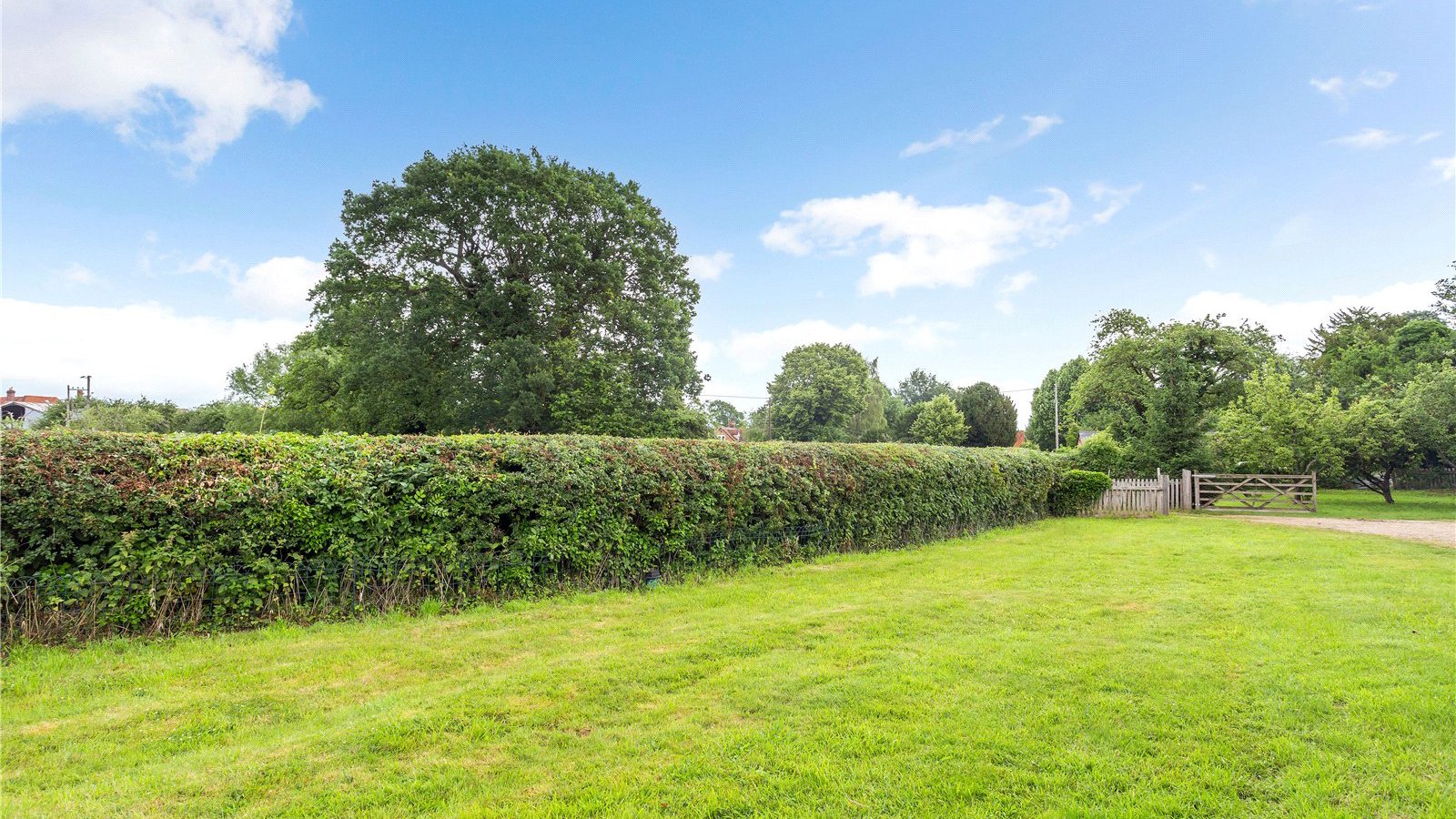 Picture No. 09.jpg Picture No. 09