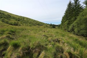 Argyll and Bute, PA22 3AD picture 5