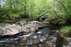 Argyll and Bute, PA22 3AD picture 6