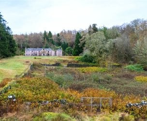 Pennyghael, Isle of Mull picture 4