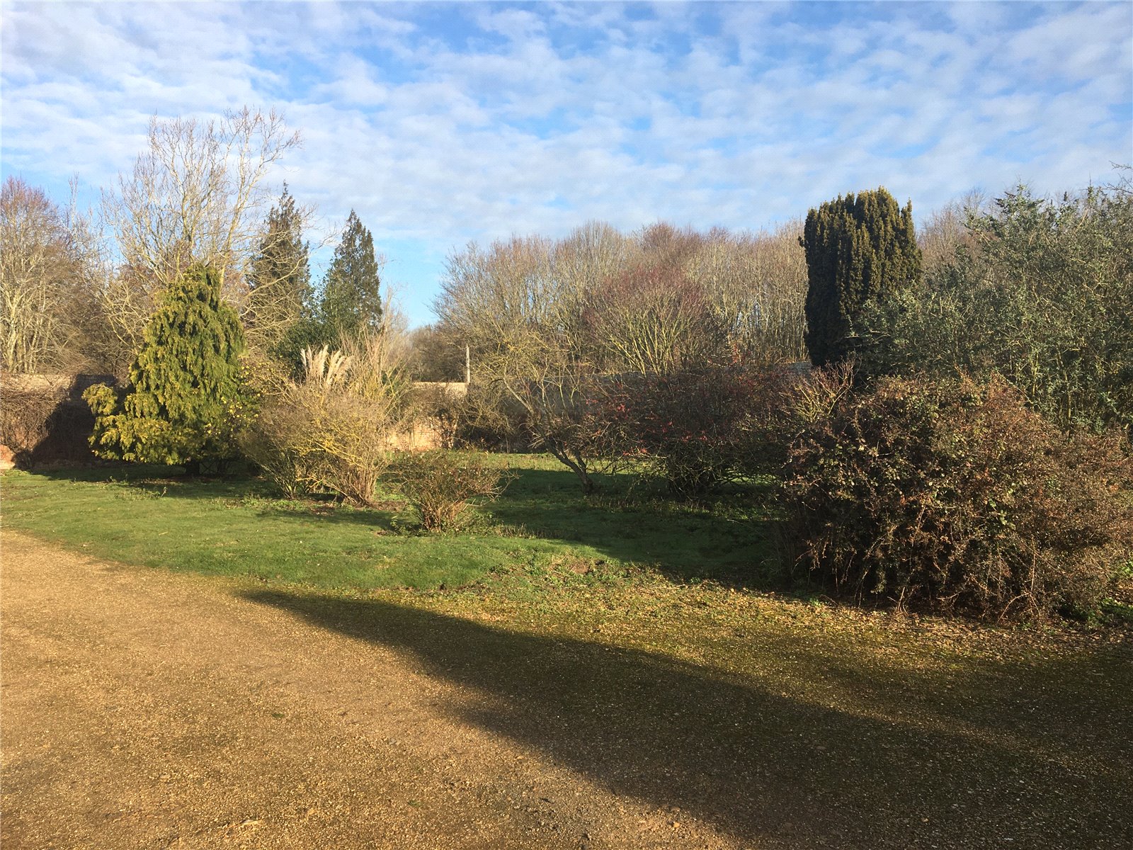 Little Barford, St. Neots picture 5