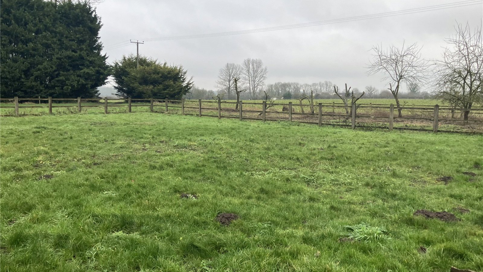 Picture No. 11.jpg Picture No. 11