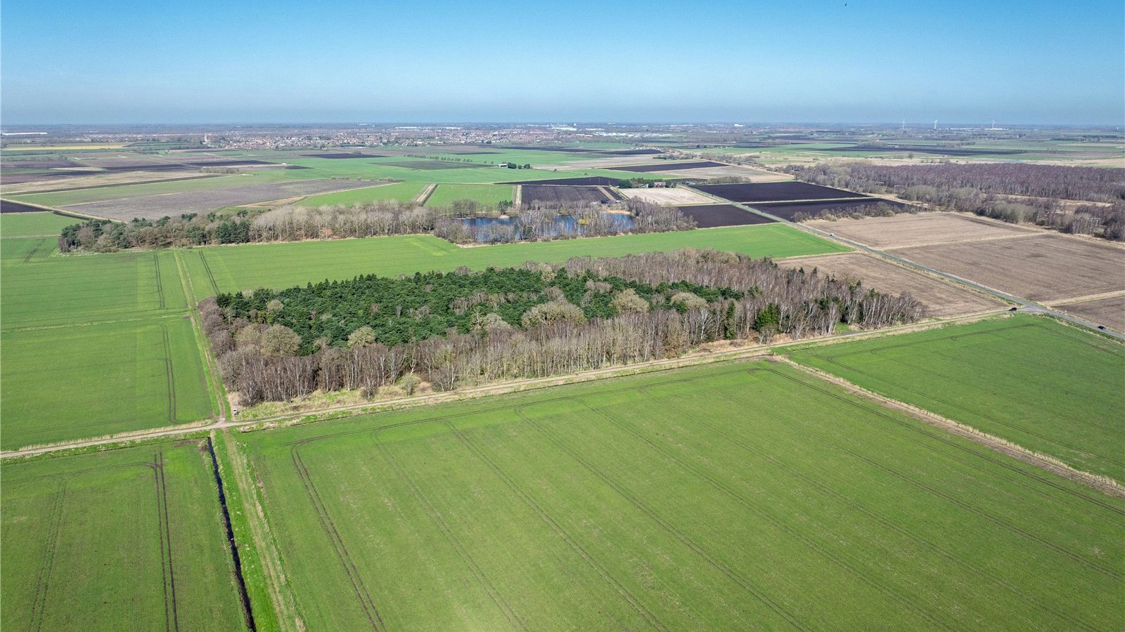 Picture No. 02.jpg Picture No. 02