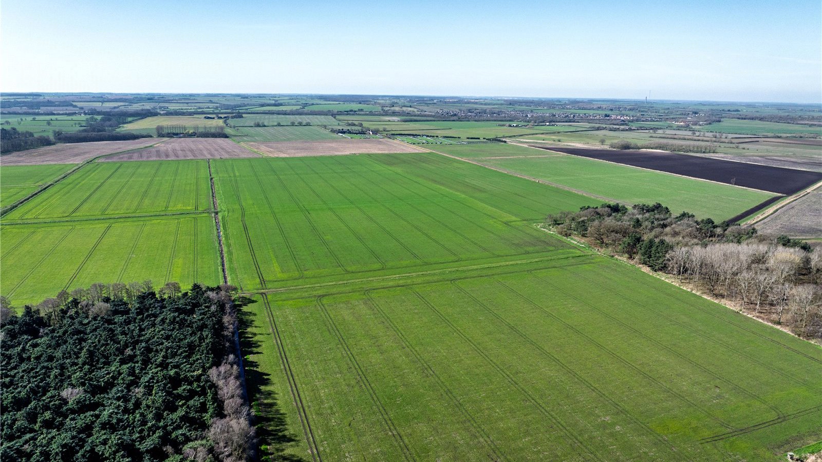 Picture No. 03.jpg Picture No. 03