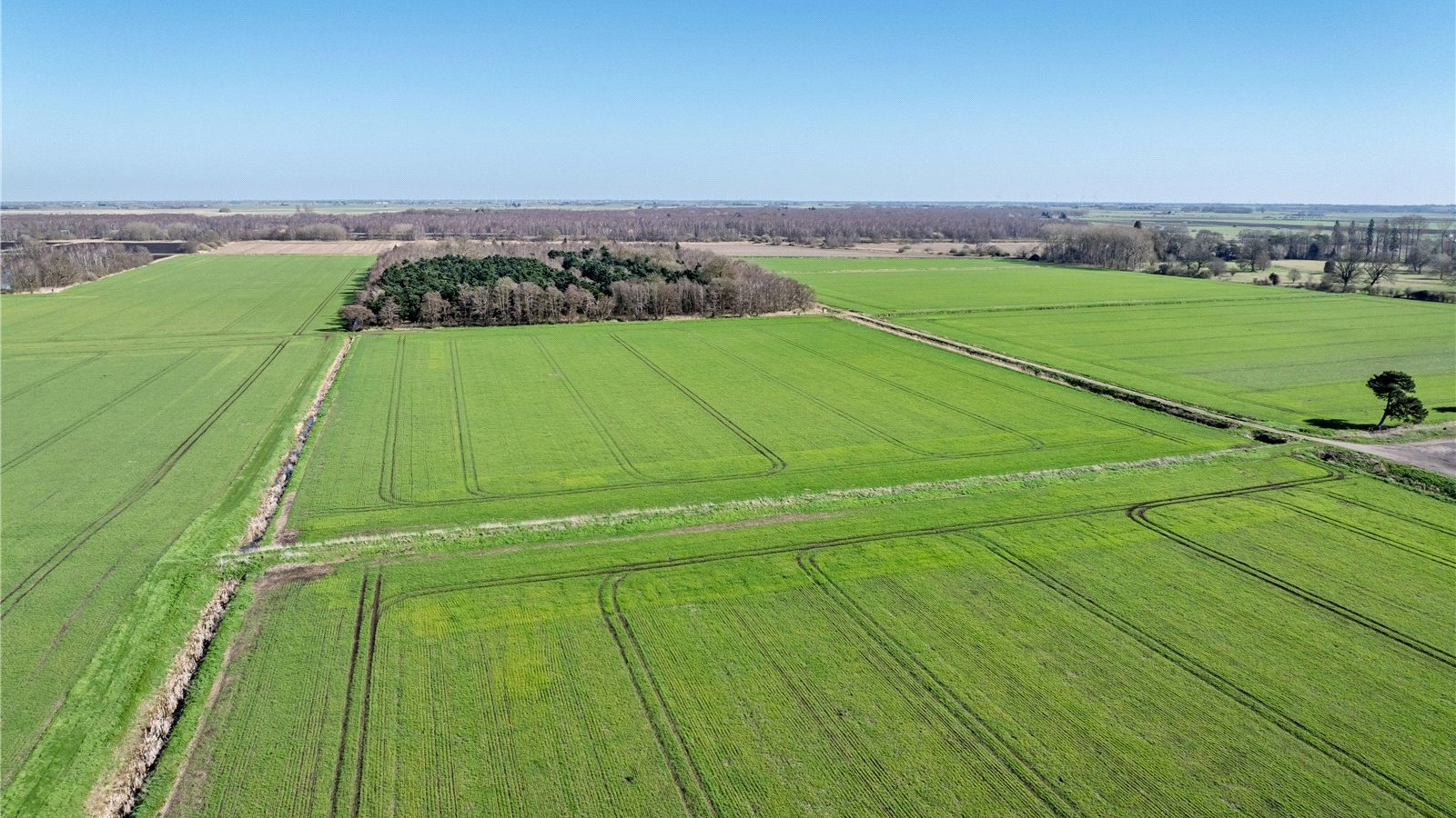 Picture No. 05.jpg Picture No. 05