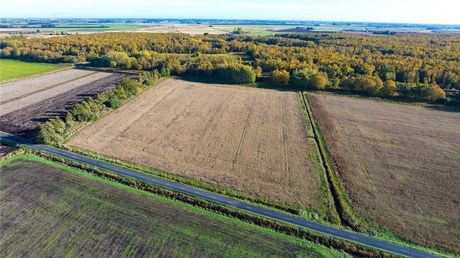 Picture No. 08.jpg Picture No. 08