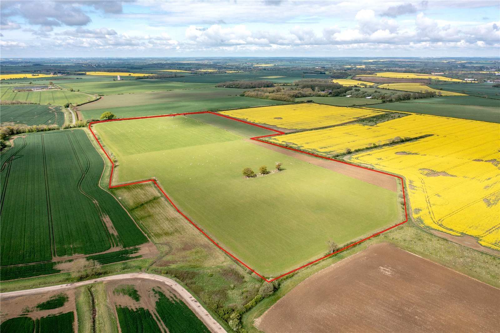 Buy 1 Foot Of Land In Scotland