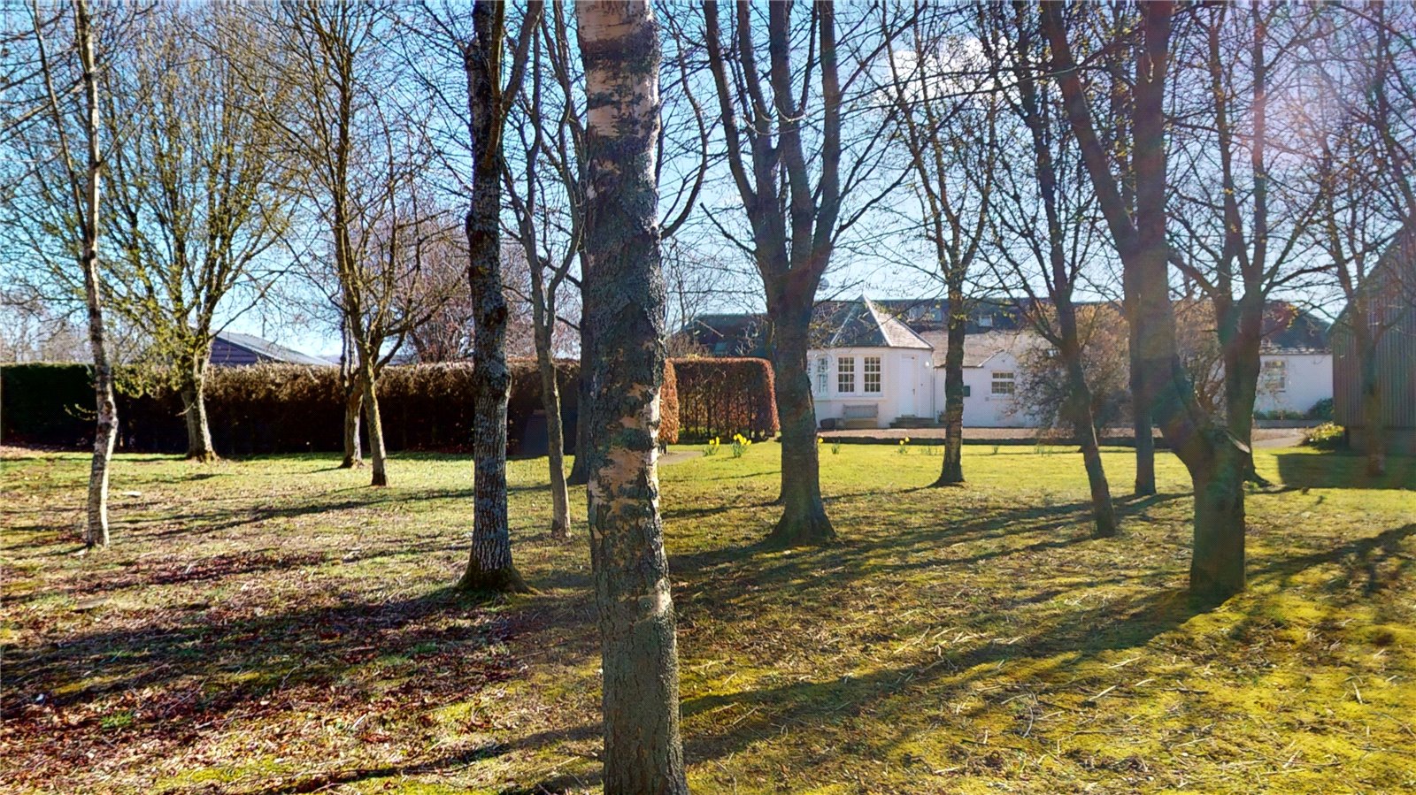 Farms & Land for Sale in Scotland Farm Land for Sale in Scotland