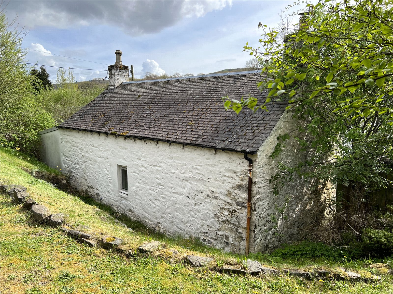 Picture No. 13.jpg