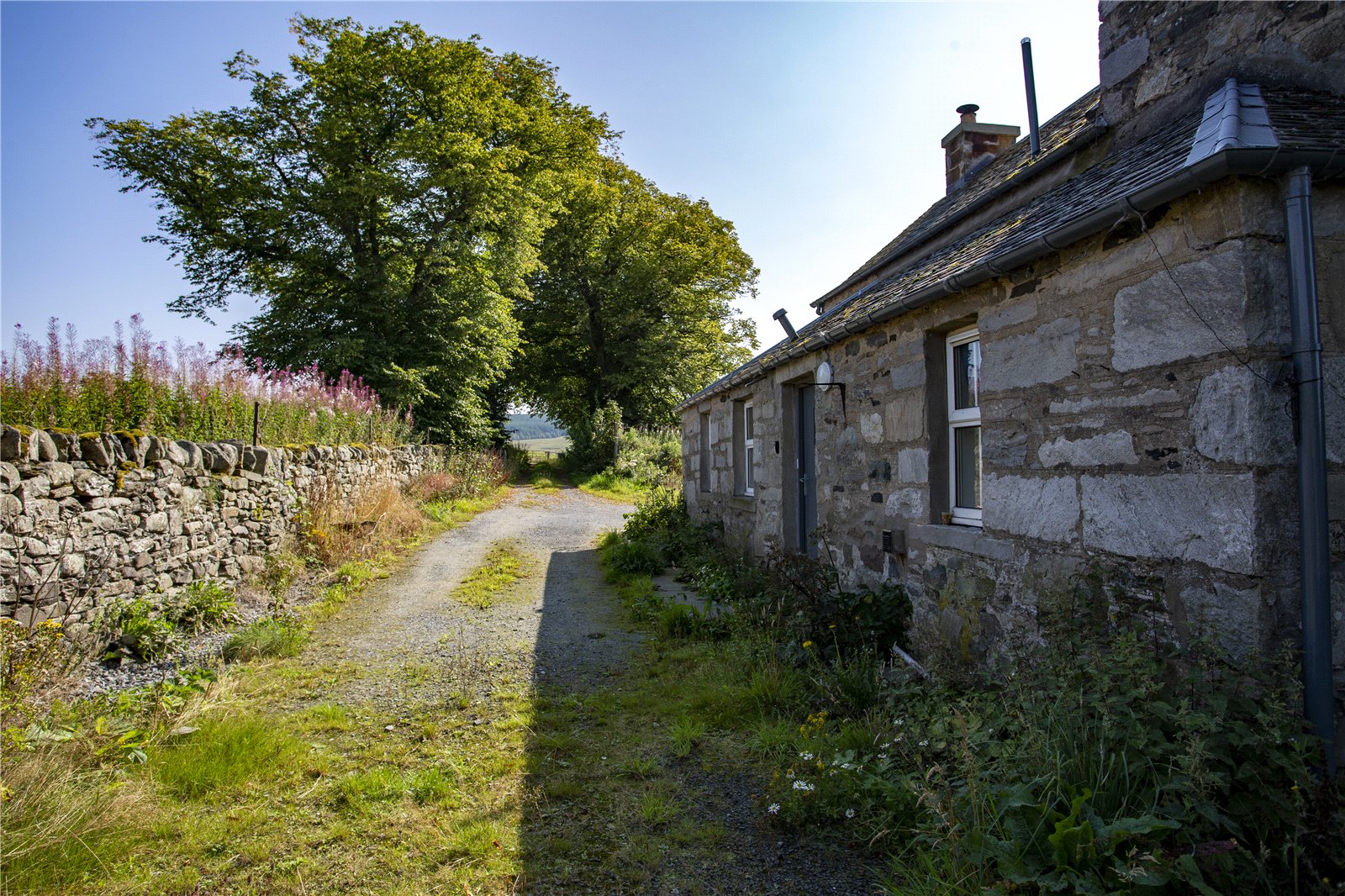 Picture No. 11.jpg