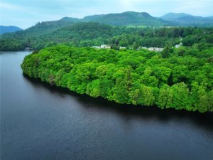 Tummel Crescent and Lagreach Woods, Pitlochry picture 2