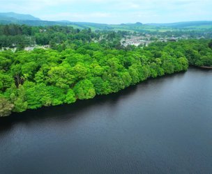 Tummel Crescent and Lagreach Woods, Pitlochry picture 3