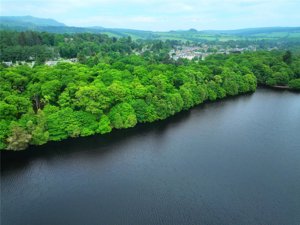 Tummel Crescent and Lagreach Woods, Pitlochry picture 3