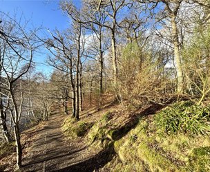 Tummel Crescent and Lagreach Woods, Pitlochry picture 5