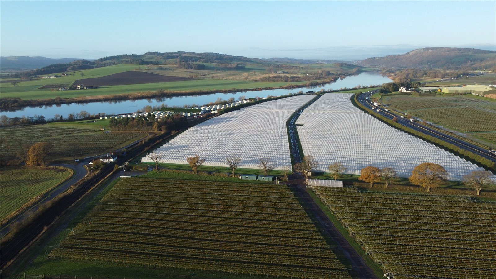 Inchyra Manor Farm Plot, Glencarse picture 4