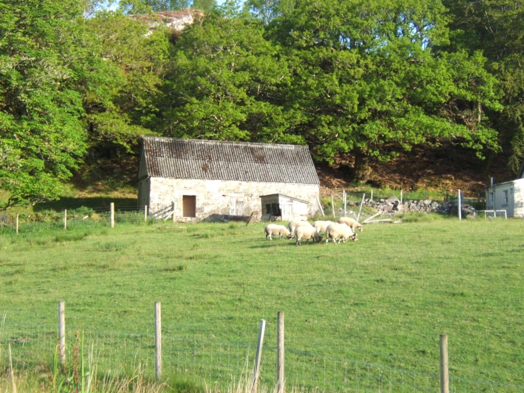 Borrowdale, Arisaig picture 3