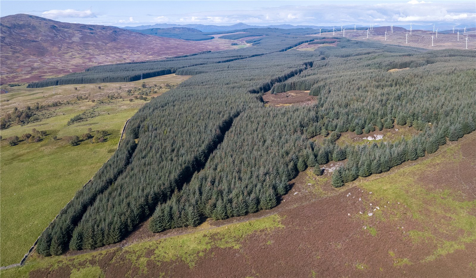 Scotston South, By Aberfeldy picture 1