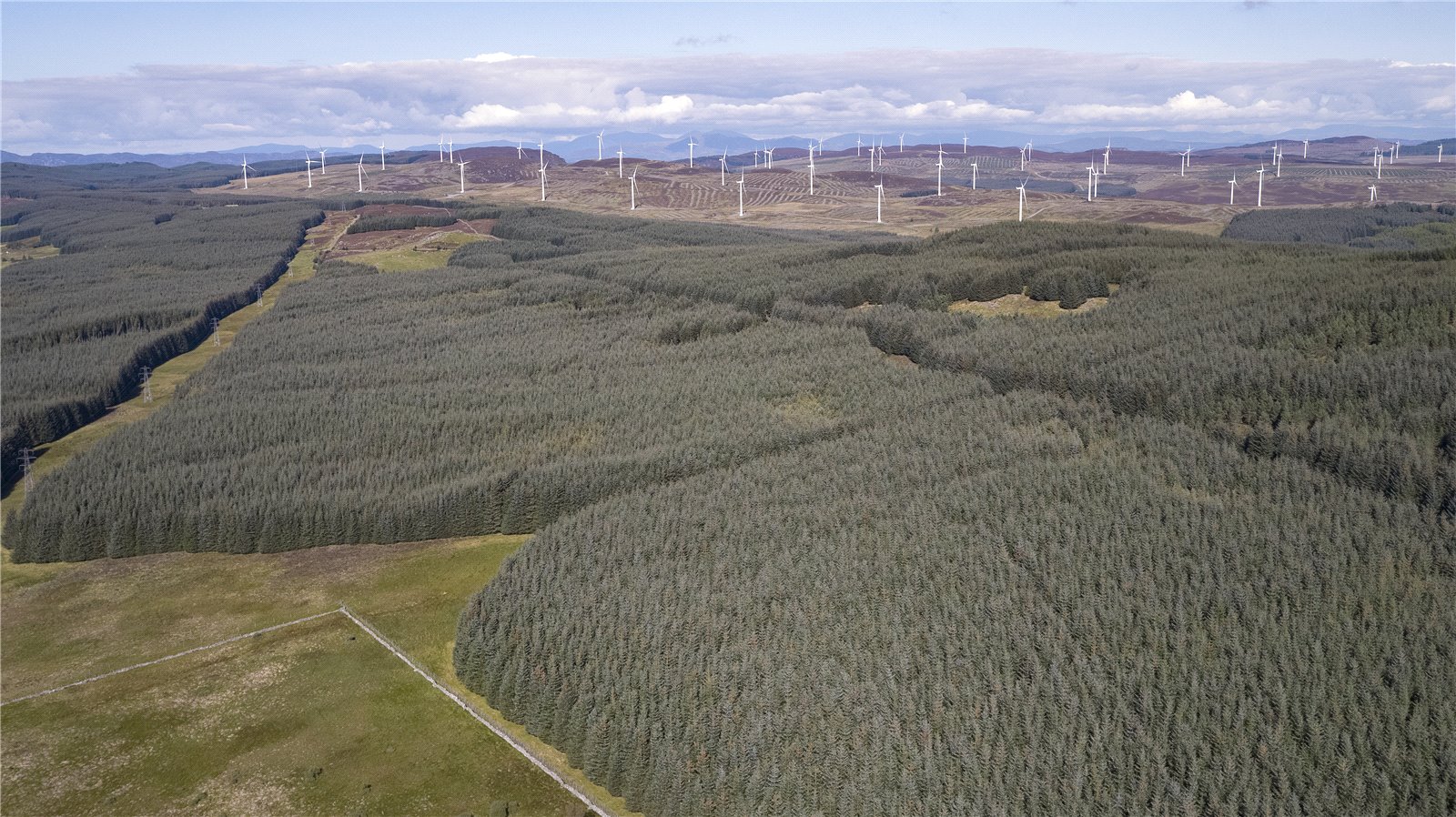 Scotston South, By Aberfeldy picture 2
