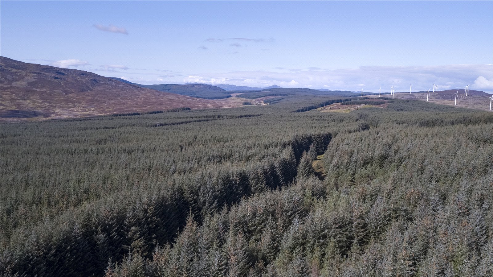 Scotston South, By Aberfeldy picture 4