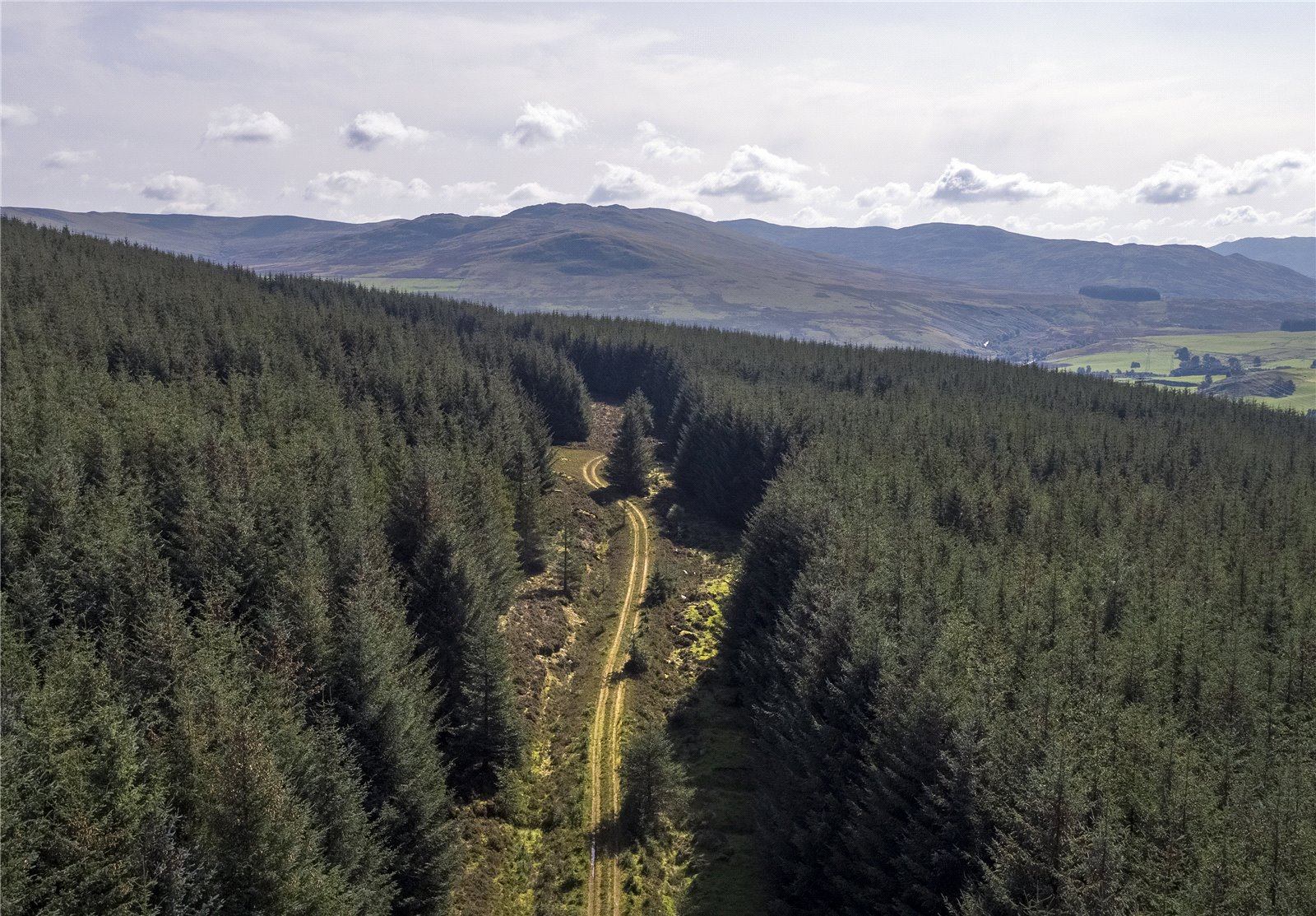 Scotston South, By Aberfeldy picture 5