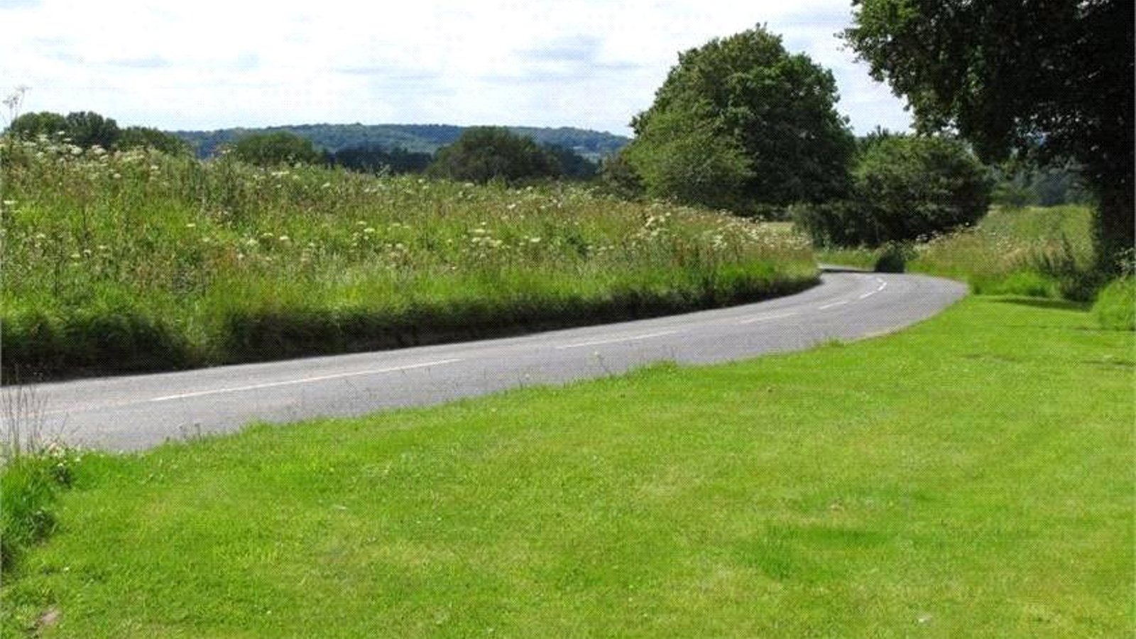 Picture No. 12.jpg Picture No. 12