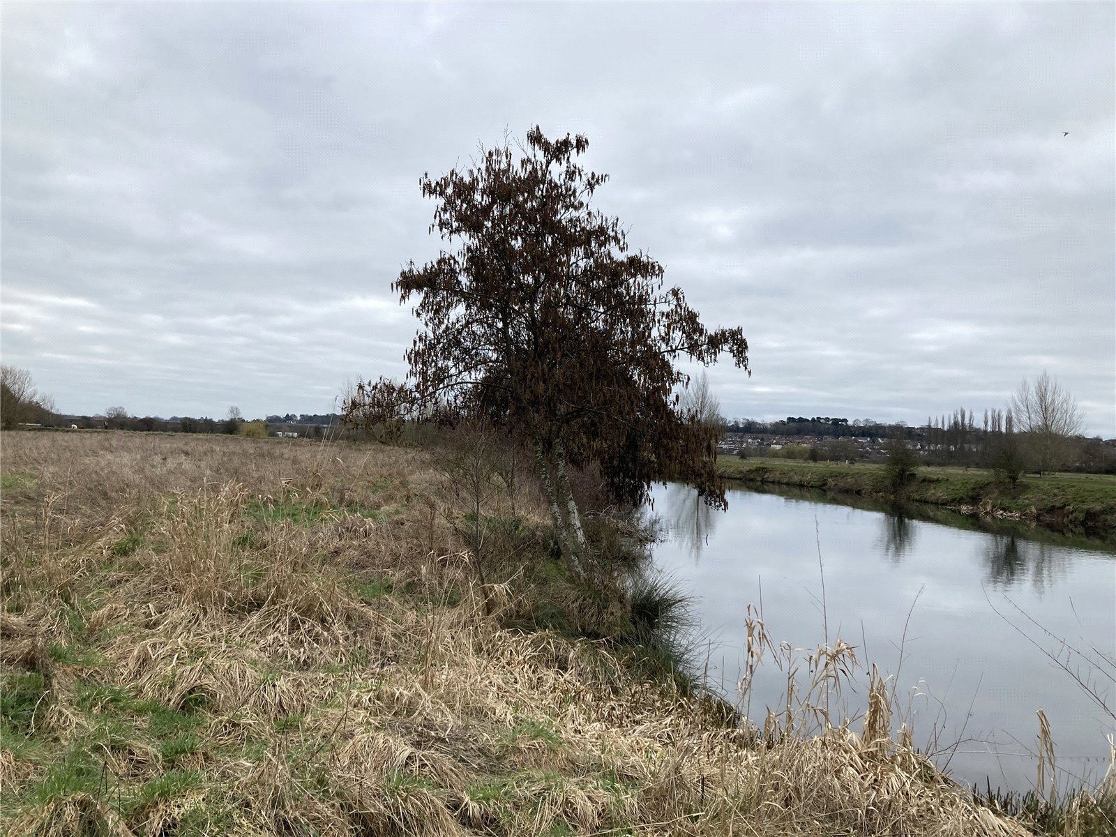 Riversdale Meadow, Bengeo picture 4