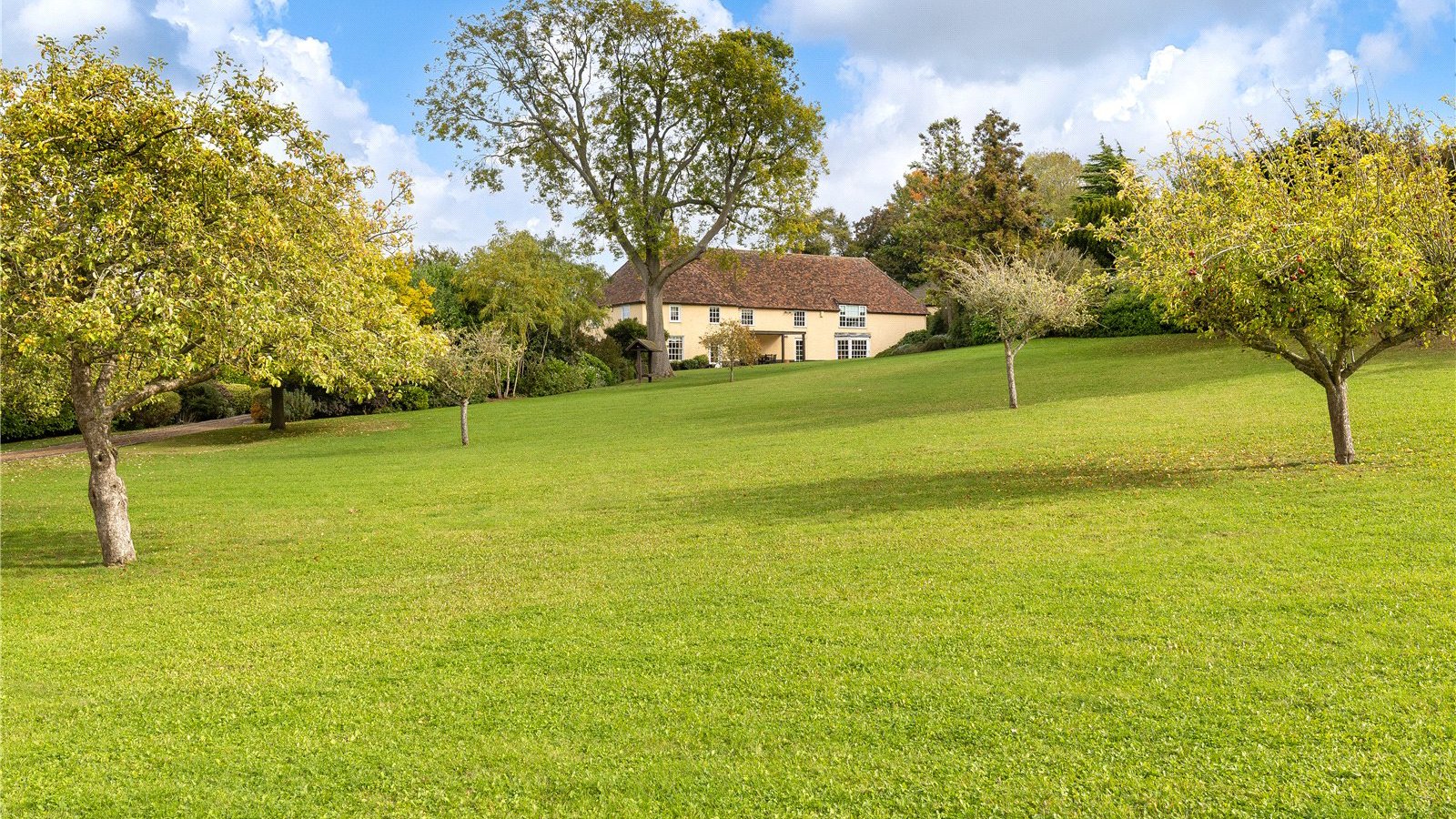 Picture No. 33.jpg Picture No. 33