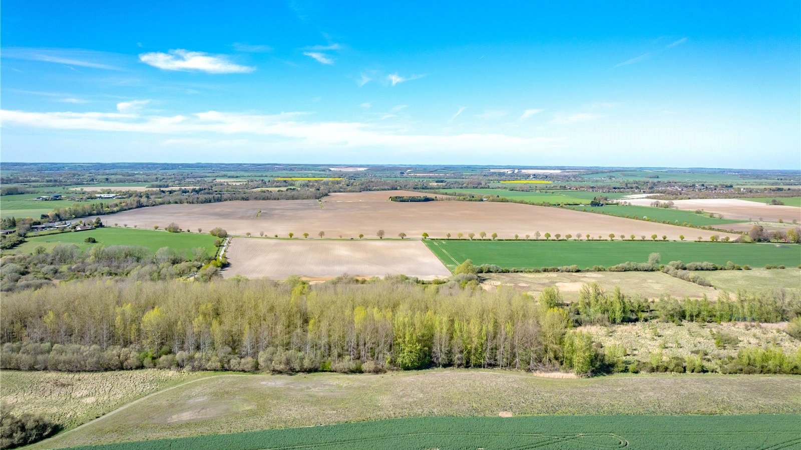 Picture No. 03.jpg Picture No. 03