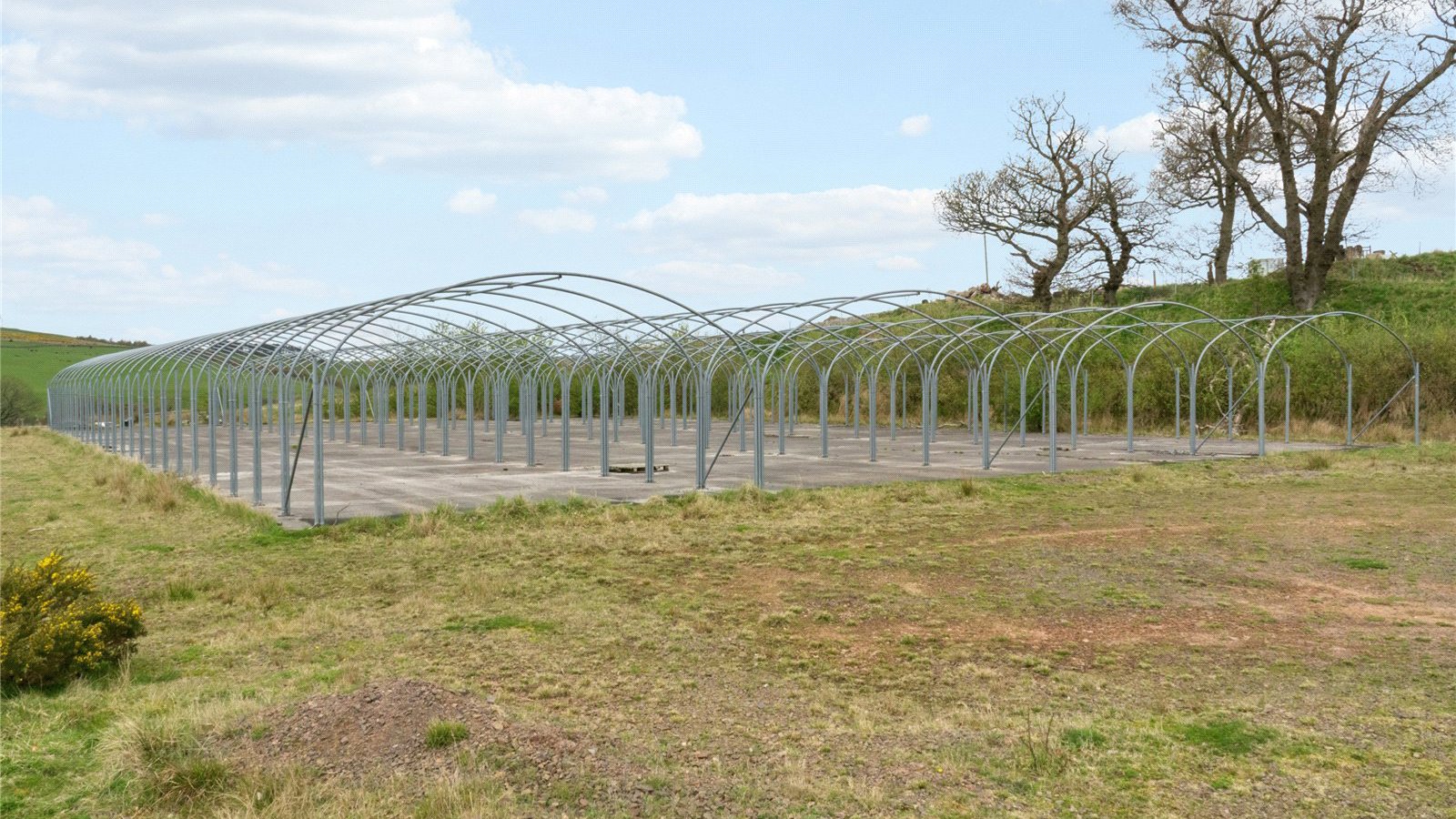 Lot 3 Polytunnels.jpg Lot 3 Polytunnels