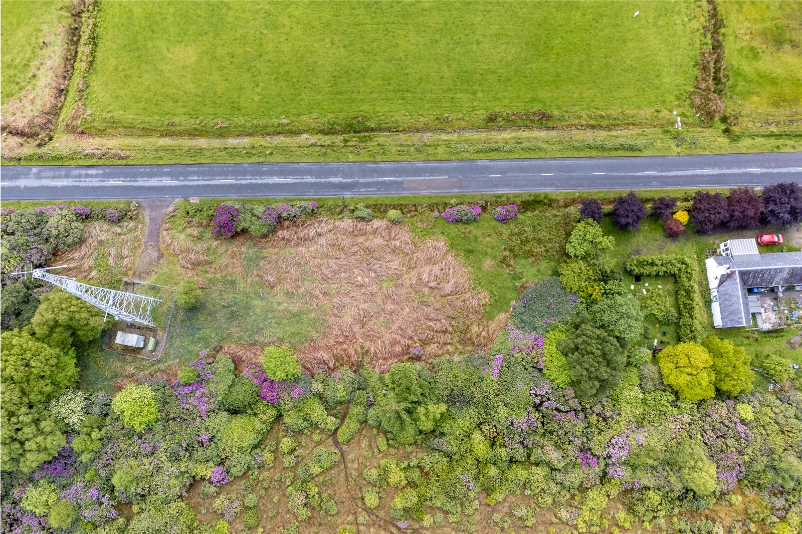 Plot At Ardgour1.jpg