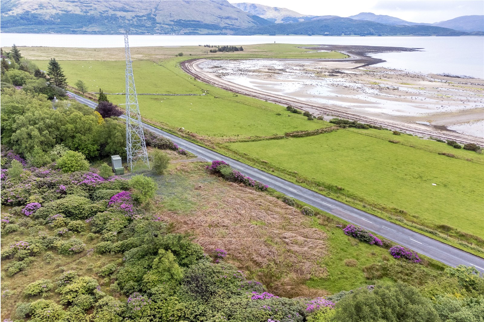 Plot At Ardgour6.jpg