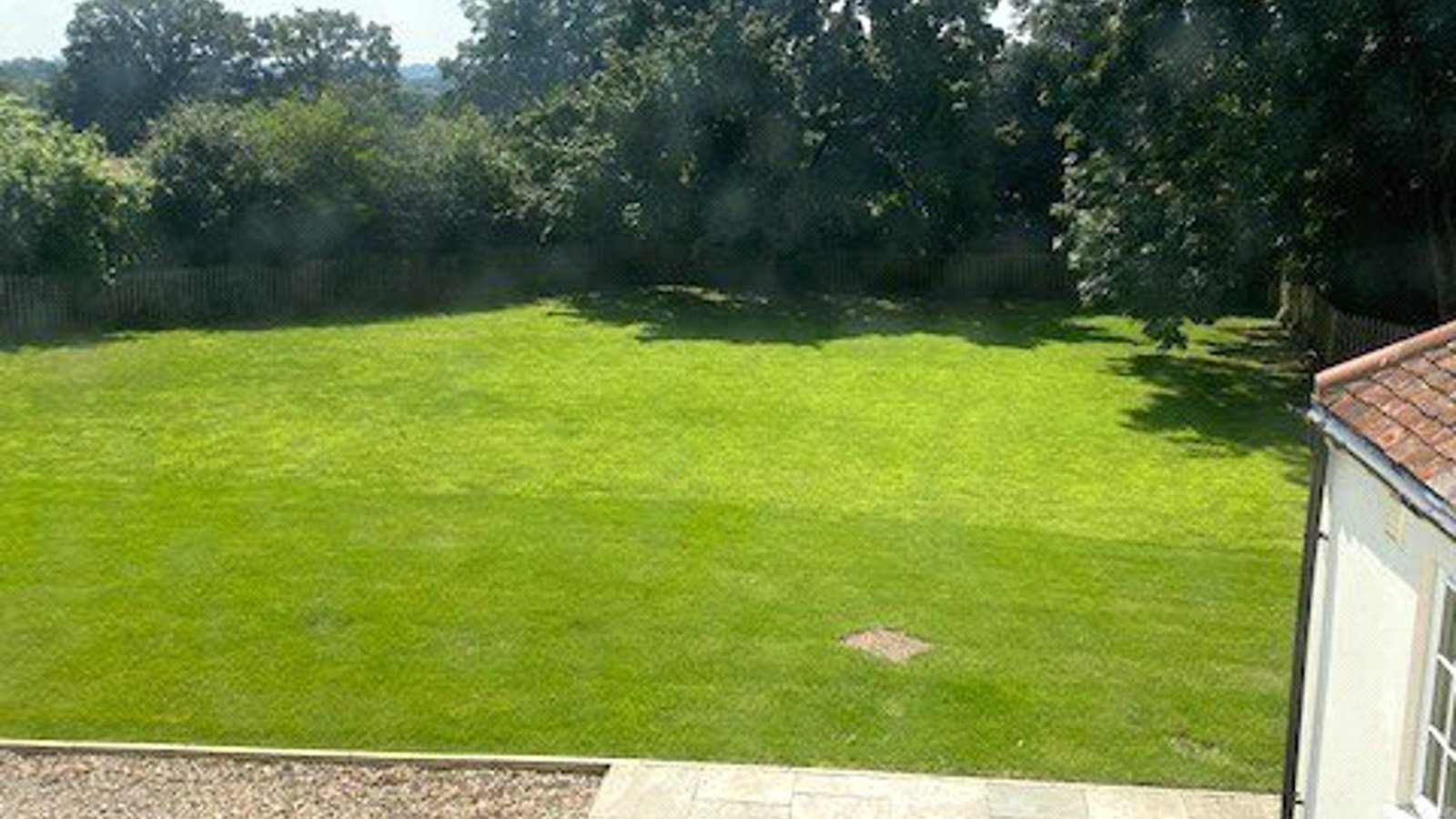 Picture No. 110.jpg