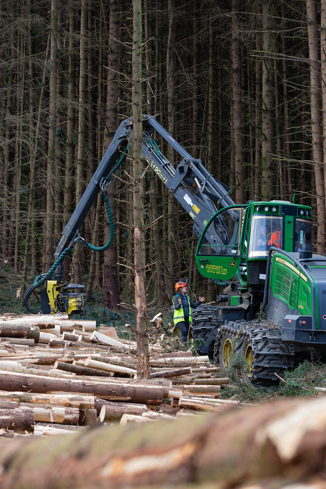 Gcse Timber Farming Planting the seeds of productivity in the UK Timber industry | The ...