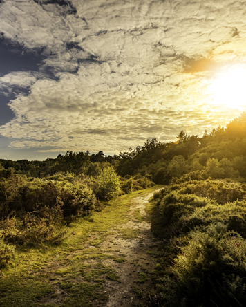 Image of HoltCountryPark10