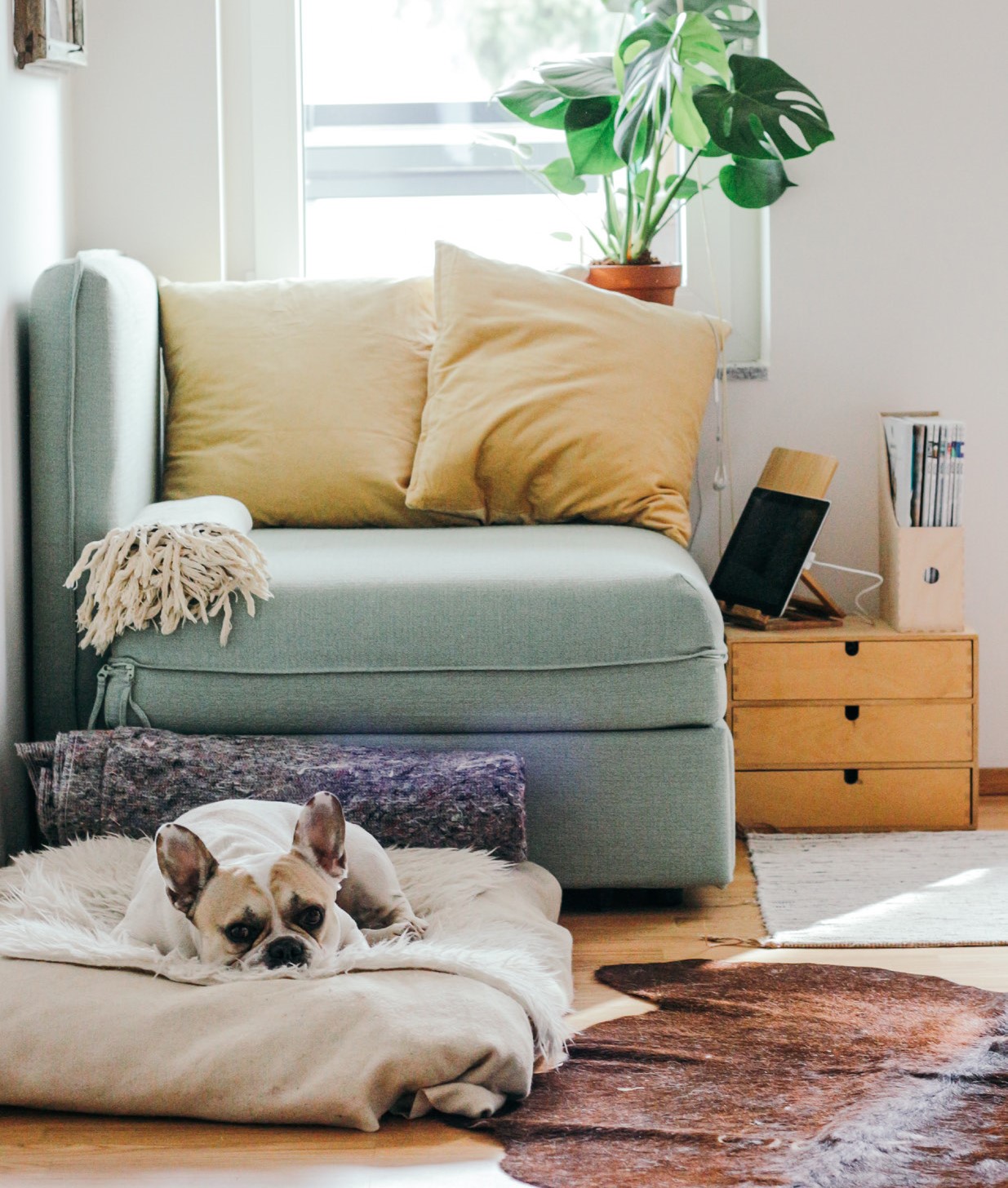 2119 A5 Flyer for Mathew Homes - House to sell PRINT (002).jpg